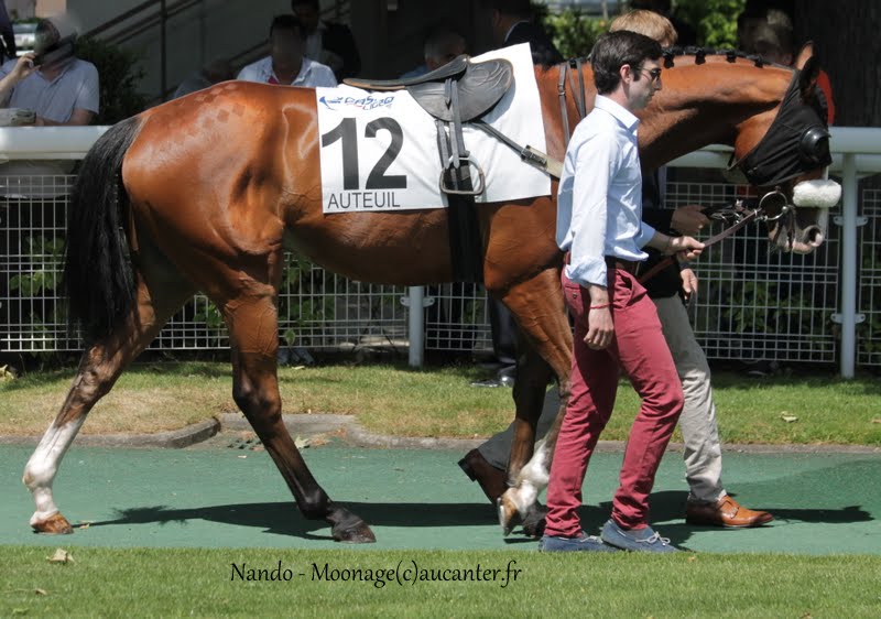 Photos Auteuil 7-06-2015 Journée Grande Course de Haies IMG_1373