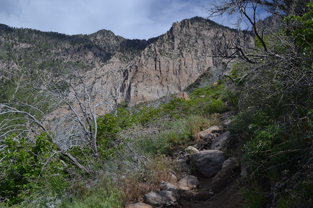 cliff face with ridge running to it