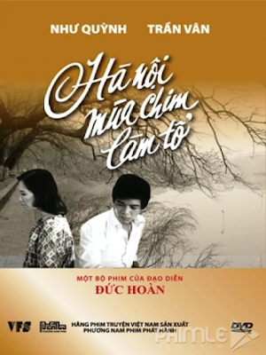 Hà Nội Mùa Chim Làm Tổ