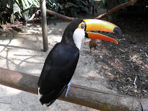 IGUAZÚ LADO BRASILEÑO - ARGENTINA Noviembre 2011 (13)