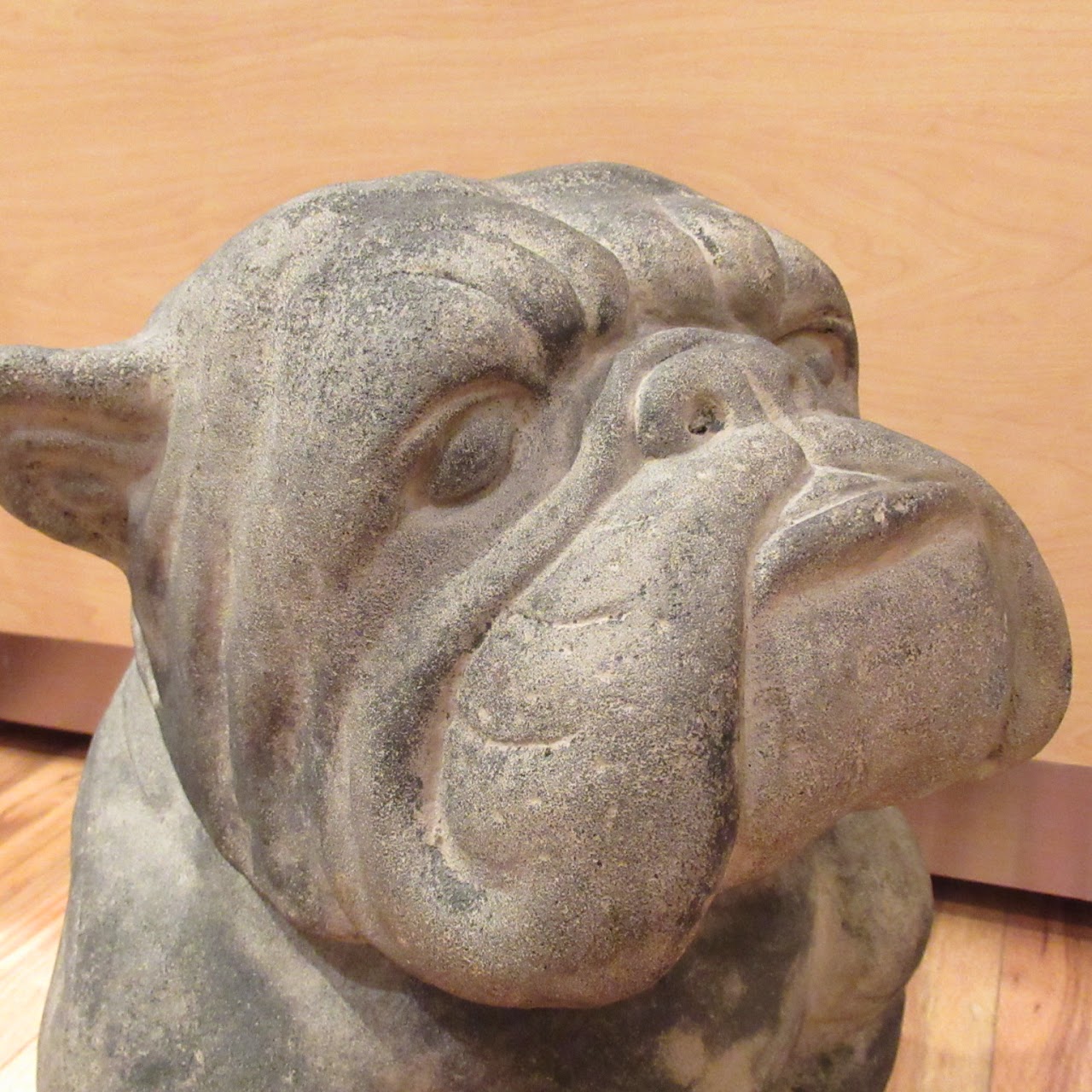 Cement Bulldog