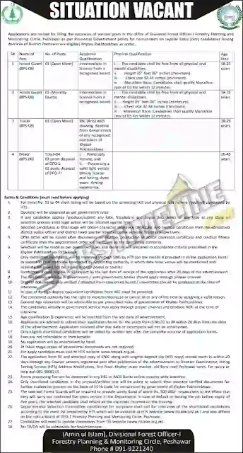 Forest Department KPK Jobs 2021-Online Apply