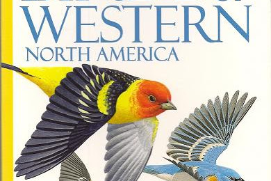 National Geographic Field Guide To The Birds Of North America 4th
Edition