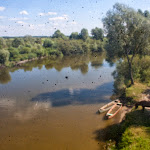 20140810_Fishing_Ostrivsk_193.jpg