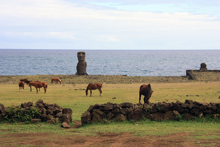 ISLA DE PASCUA: EL OMBLIGO DEL MUNDO - Blogs de Chile - LA RUTA CORTA: EL SUROESTE DE LA ISLA (7)