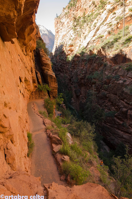 ANGELS LANDING TRAIL EN ZION N.P. (UTAH, USA), Excursiones-USA (12)