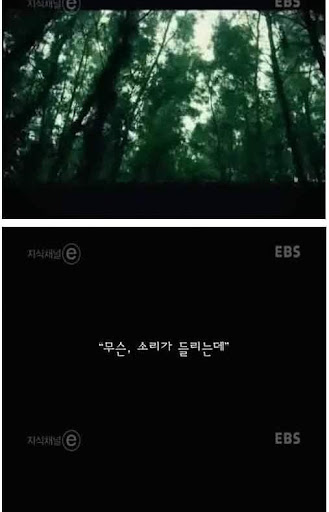 정신병원의실체.jpg[스왑주의]