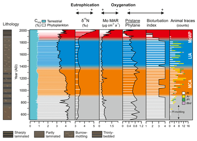 Geochemical profiles reflecting the delivery and preservation of organic material in the Haverö basin, which is a small, extremely enclosed basin in the mid-dle of the Archipelago Sea. Fractions of organic carbon (Corg) were calculated from molar C/N ratios, applying end-member values of 25 and 7.7 for terrestrial and phytoplankton-derived Corg, respectively. A loess-smoothed dendroclimatic summer temperature reconstruction for southeastern Finland is also shown. Note the marked decline in the input of phytoplankton-derived Corg during the LIA. Graphic: Jokinen, et al., 2018 / Biogeosciences