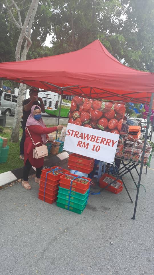 gerai tepi jalan, strawberi cameron, jagung susu cameron,