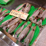 delicious squids 500 YEN per 3 in Tokyo, Japan 