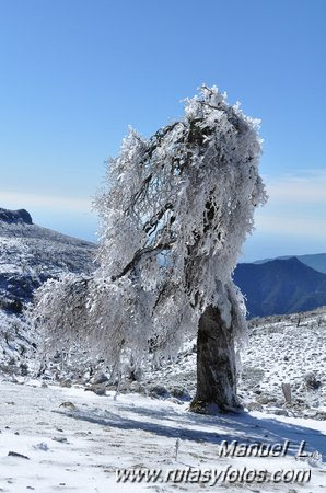 Subida al Torrecilla (II)