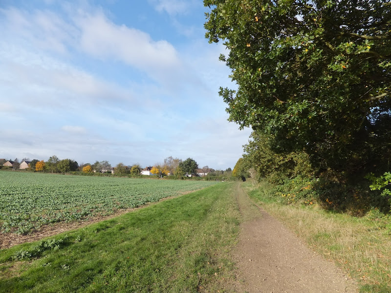 Knebworth Circular Walk Griffmonsters Great Walks