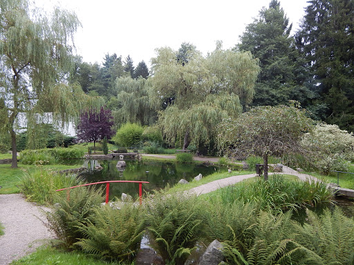 Place around image