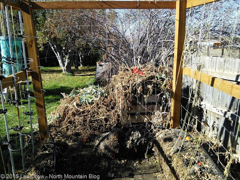 Straw_Bale_Garden_13_Nov_2015_b