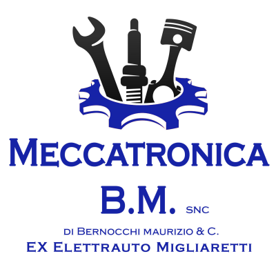 Meccatronica B.M. - Ex Elettrauto Migliaretti logo