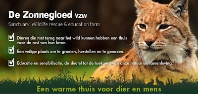 Photos of De Zonnegloed
