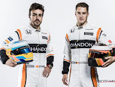 Money time voor Vandoorne bij McLaren? "We zouden graag zien dat Vandoorne Alonso meer verslaat"