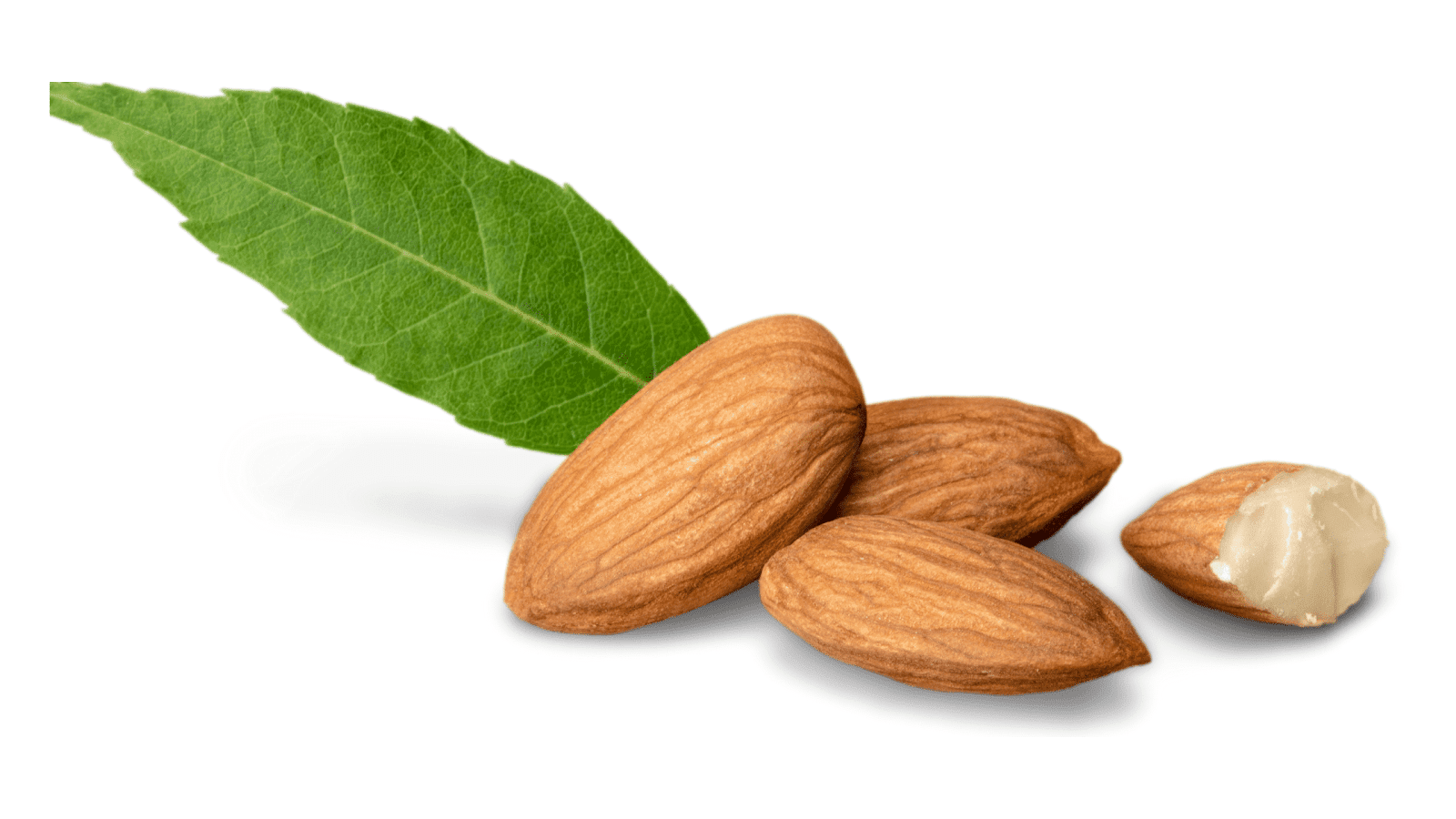 7 benefits your body will get if you eat 4 almonds a day 7 benefits your body will get if you eat 4 almonds a day
