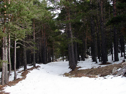 Senderismo: Alcalá de la selva - Peñarroya