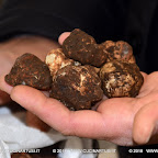 2018-03-18 Il Tartufo Siciliano di Giuseppe Zuccalà a Barrafranca