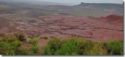  Petrified Forest National Park