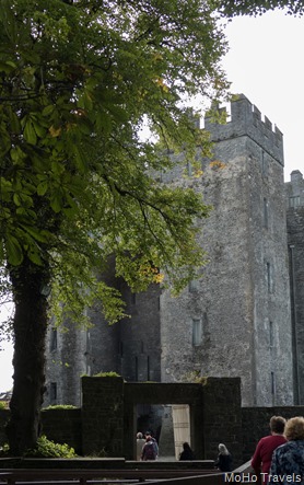 01 Killarney to Bunratty (1 of 1)-45