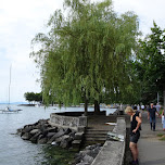 admiring the waterfront in Lausanne, Switzerland in Gruyeres, Switzerland 