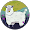 a Sheep