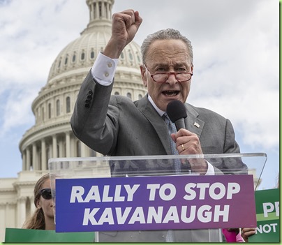 schumer rally