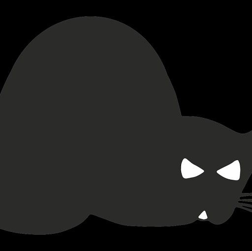 Schwarze Katz logo