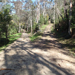 Intersection of Ten Mile Hollow Rd and Donny's track (167300)