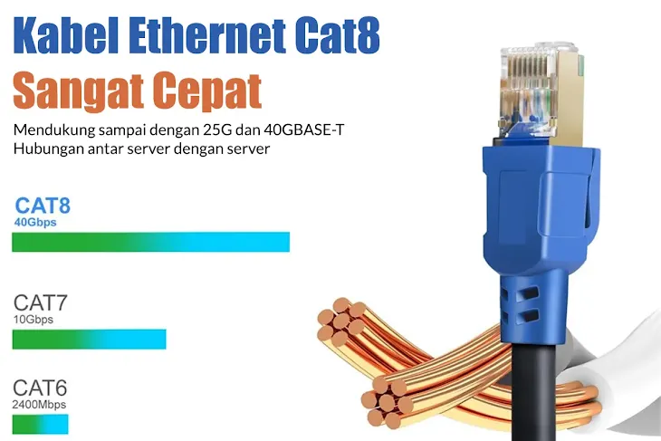 kabel cat8