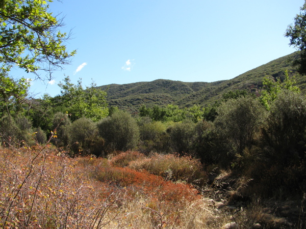 the valley opens up, wide and green