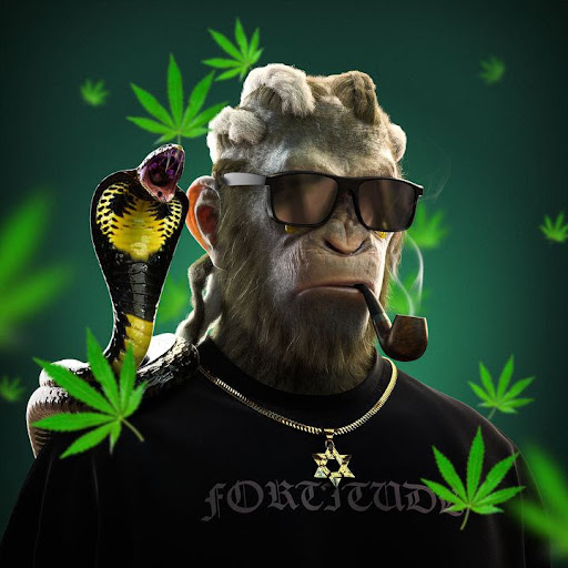 Djerfy Mike
