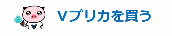 Vプリカとは