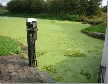 1 rather green abouve eastwood lock