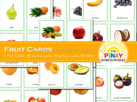 Montessori Fruit 3 Part Cards