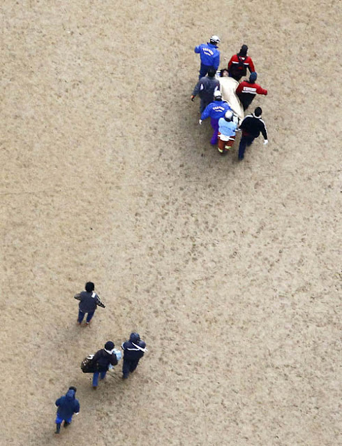 Σεισμός και τσουνάμι στην Ιαπωνία 2011 Japan Earthquake and Tsunami