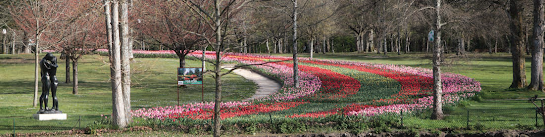 Les jardins du château de Cheverny