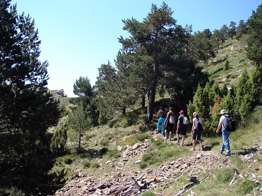 Senda al Portellàs