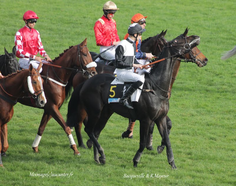 Photos Auteuil 8-11-2015 (48h de l'obstacle) IMG_6777