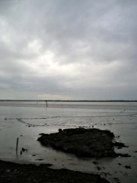 Moody old Breydon Water