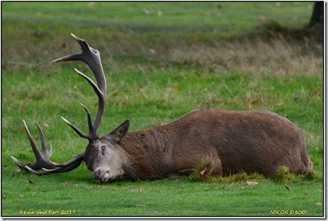 Wollaton Hall - October