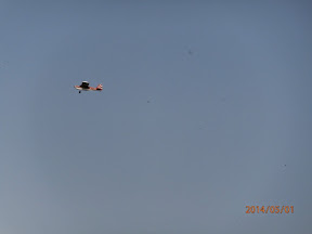 P5010050.JPG