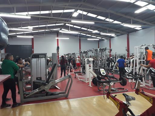 SCULPO Gym & Fitness León, Blvrd Miguel Hidalgo 2702-A, Las Aguilas, 37118 León, Gto., México, Programa de acondicionamiento físico | GTO