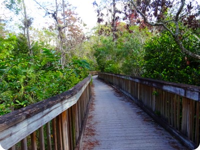 Kirby Storter Boardwalk 