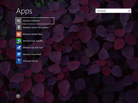 Windows 8.1, ดูแอพ, หมวดหมู่, ชื่อ, วันที่ติดตั้ง, การใช้งาน, โปรแกรม