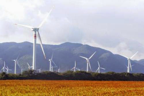 Cemex Ready To Build Wind Farm