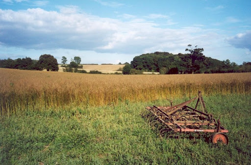 walk 39 suffolk field 