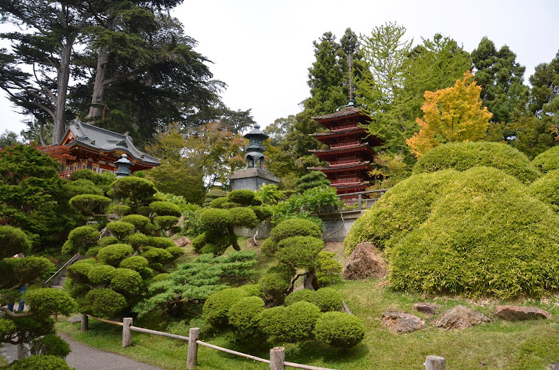 japanese tea garden